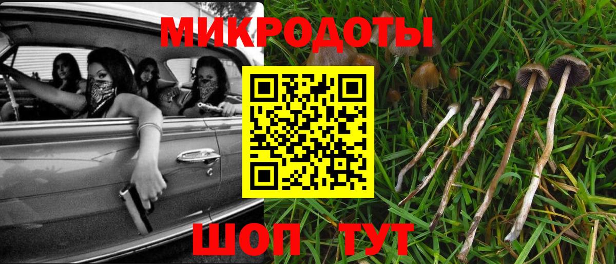 Курганинск  Галлюциногенные грибы мицелий  Галлюциногенные грибы мухоморы  Вход с VPN 